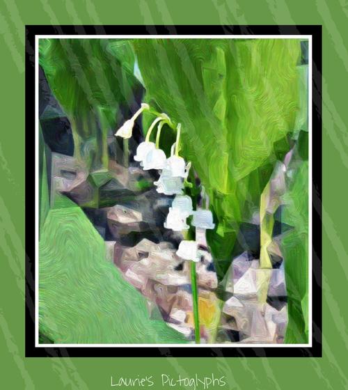 Lily Poems Modern Awardwinning Lily Poetry All Poetry