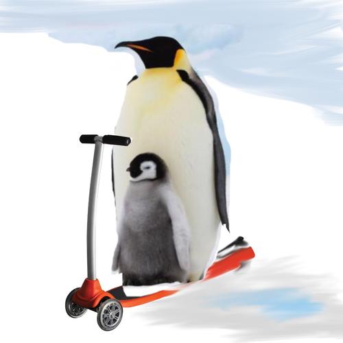 Poem contest Penguin Scooter All Poetry