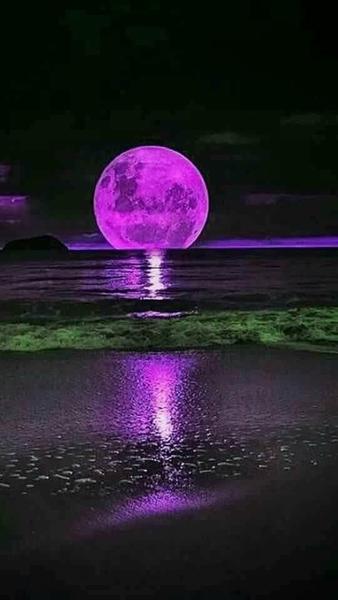 user img