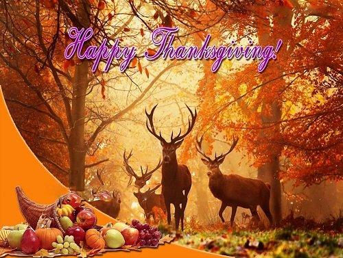 Poem contest The Meaning of Thanksgiving - All Poetry