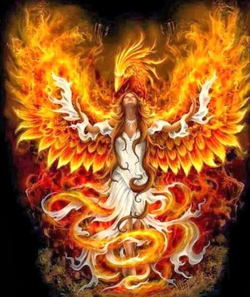 Poem Contest Image And Quote Prompt Phoenix Rising From The Ashes All Poetry
