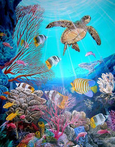 Poem contest Image Ocean Sea Turtle coral reef - All Poetry