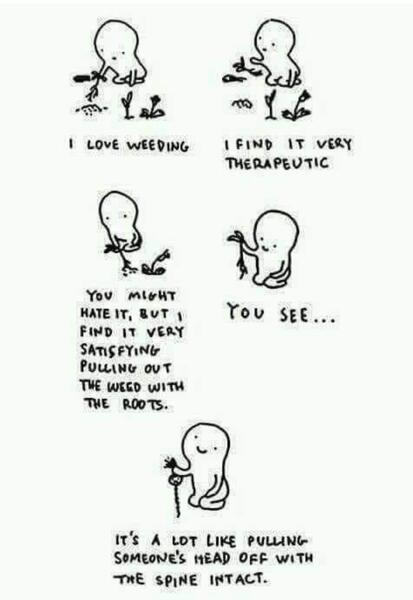 Funny poem generator image