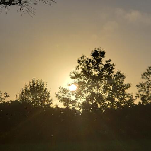 Bill of rights essay contest image