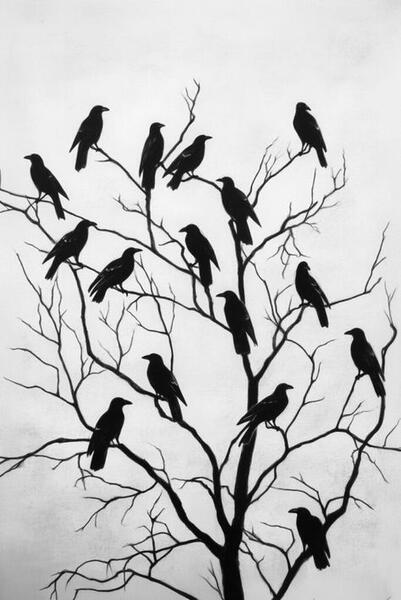 Nature Poetry About Crows Dark Woods &amp; Mystery
