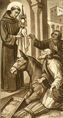 St Anthony Of Padua And The Kneeling Donkey - a poem by saiom - All Poetry