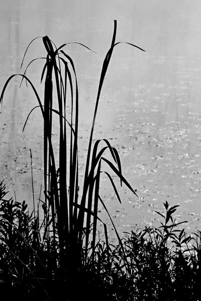 For Hannah, an Acrostic - a poem by Juliemummy - All Poetry