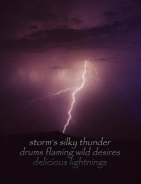 Haiku Poem About Lightning | Shelly Lighting