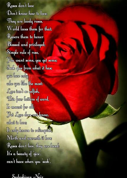 Roses don't love .. Don't know how to love - a poem by Sadashivan Nair ...