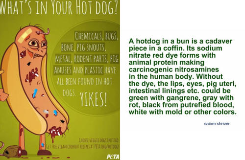 Short poems about dogs love picture