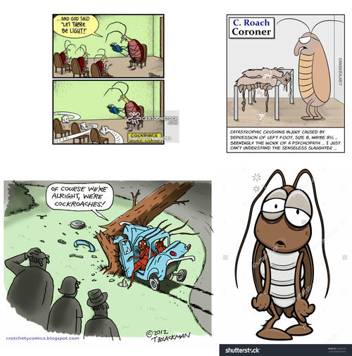 Do Cockroaches Have Rights? a poem by saiom All Poetry