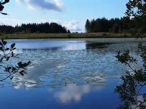 Owain lawgoch Poems Modern Awardwinning Owain lawgoch Poetry All