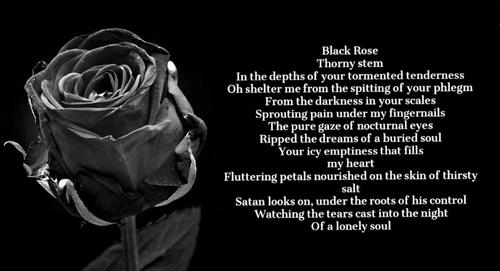 Black Rose - a poem by Edhunter - All Poetry