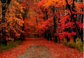 Autumn Rush - a poem by Jude Kyrie - All Poetry