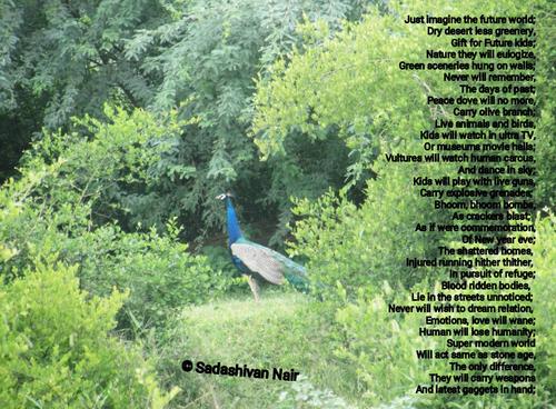 Future Kids Poems Modern Award Winning Future Kids Poetry All Poetry