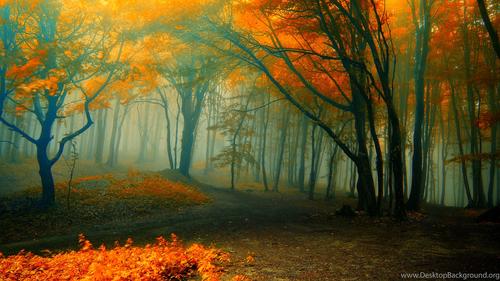 Poems About Autumn  Hd nature wallpapers, Fall season pictures