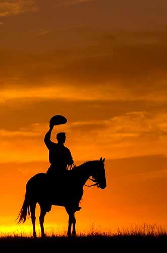 Cowboys Farewell - a poem by C. J. Krieger - All Poetry