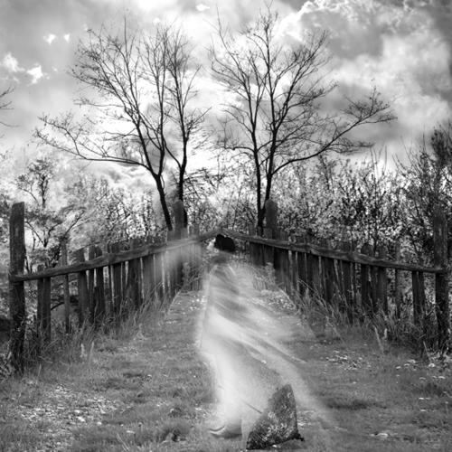 Hoisted with Your own Petard a poem by K. Bradie All Poetry