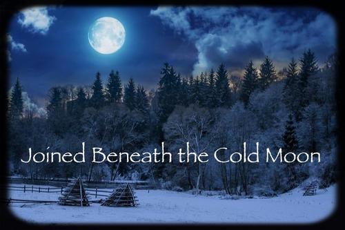 Joined Beneath The Cold Moon Haiku Chain A Poem By Captain B2 All Poetry