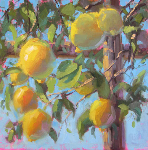 Lemon trees Poems Modern Awardwinning Lemon trees Poetry All Poetry