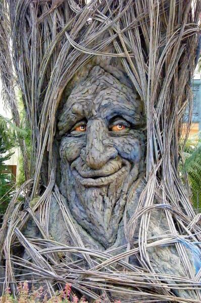 Wise old tree with face : r/weirddalle