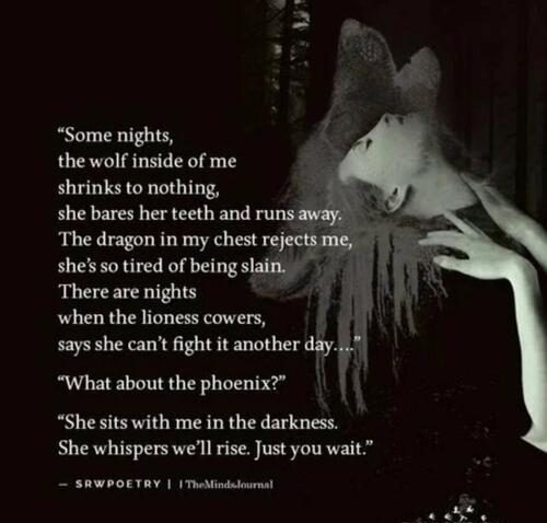 The Phoenix Sits With Me In The Darkness A Poem By Lorient Montaner