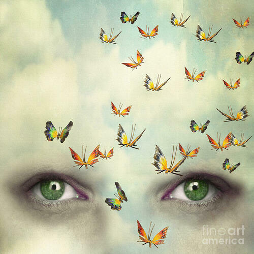 Stomach full of butterflies (falling in love again) a poem by Crystal