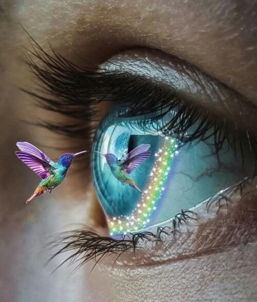 An essay an oblivious awakening picture