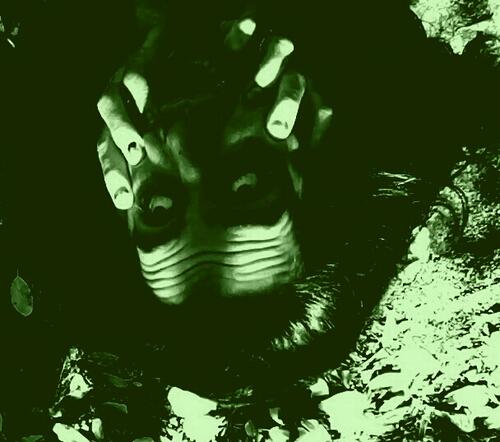 Carnosity Rippling Flesh Of Carnosity Reveal Branches Of Rape Before Foaming ...