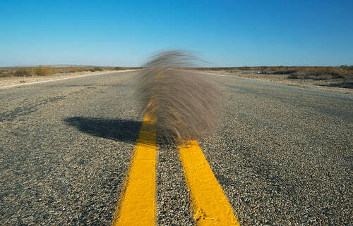 barren desert with tumble weed