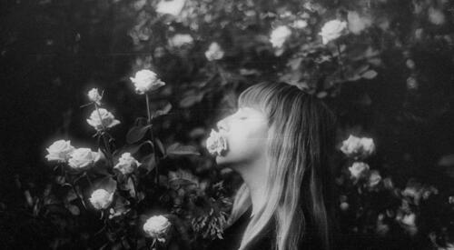 Alice in wonderland Poems - Modern Award-winning Alice in wonderland