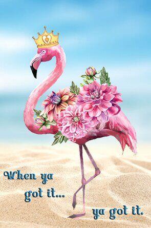 Flamingo humor Poems - Modern Award-winning Flamingo humor Poetry : All ...