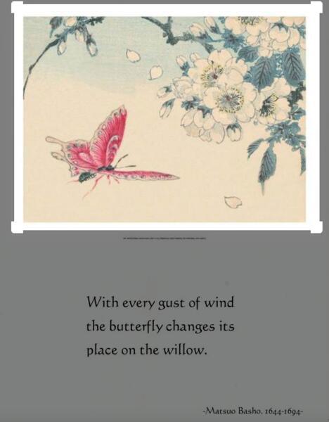 poems about butterflies