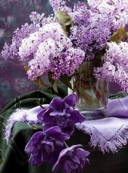 Lilacs Poems - Modern Award-winning Lilacs Poetry : All Poetry