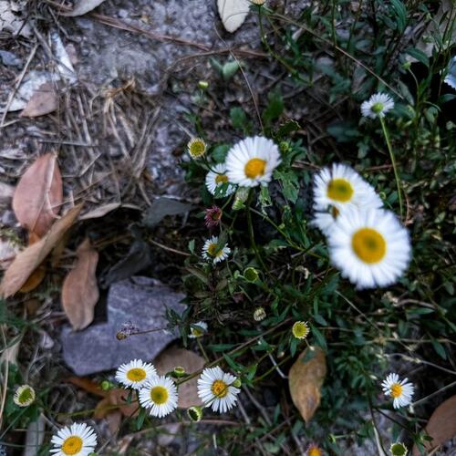 Overthinking - a poem by Yasha.W - All Poetry