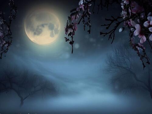 Around the moon -- haiku - a poem by kareneisenlord Klge - All Poetry