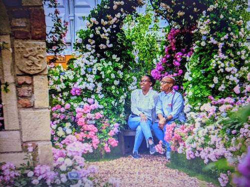 RHS Chelsea flower show - a poem by Laura Sanders. - All Poetry