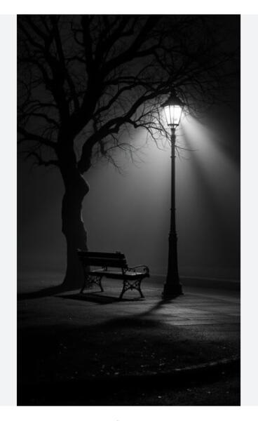 Moon Shadows - a poem by dennis morrissey - All Poetry