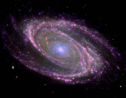Absurdity in Microcosmic Measure by Tony DeLorger