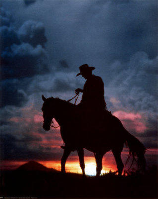 The Lonesome Cowboy Rodeo A Poem By Mr Numi Who All Poetry