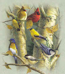 Angela Charles A Songbird In Her Own RIght