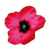 Poem 'Lest we forget' by A.N. Cole · First World War Poetry