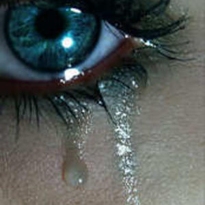 Island of the Blue Dolphins - a poem by Sound of Rain ...
