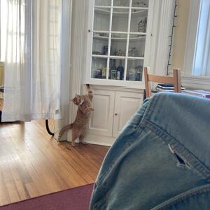 Elle-hell-eel - poet at allpoetry