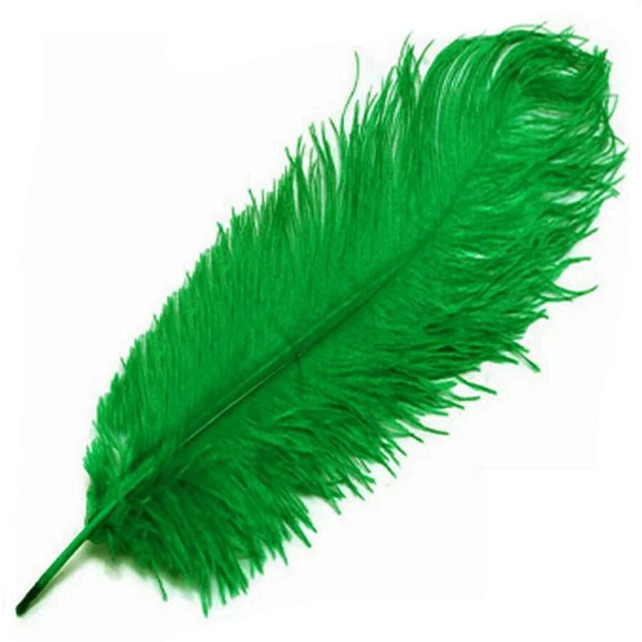 The Green Feather Poet At Allpoetry the-green-feather-poet-at-allpoetry