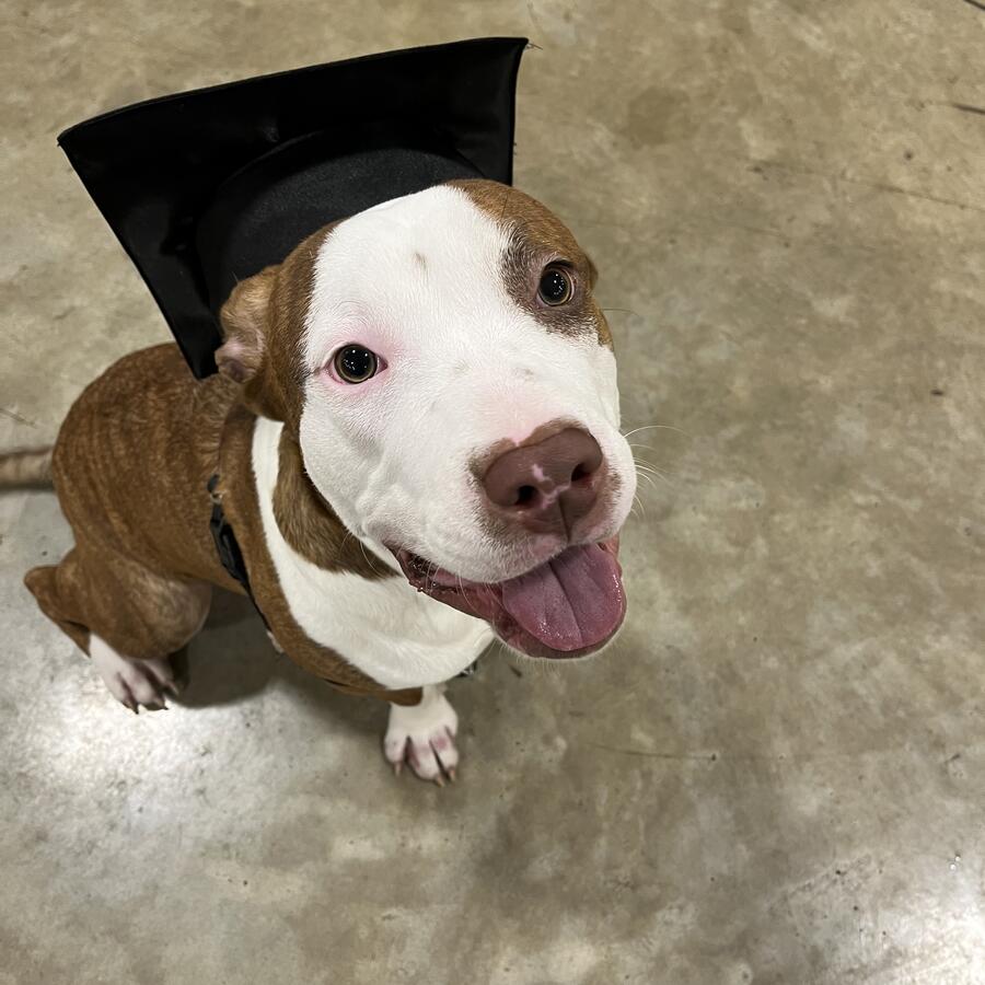 J Mixon poet at allpoetry