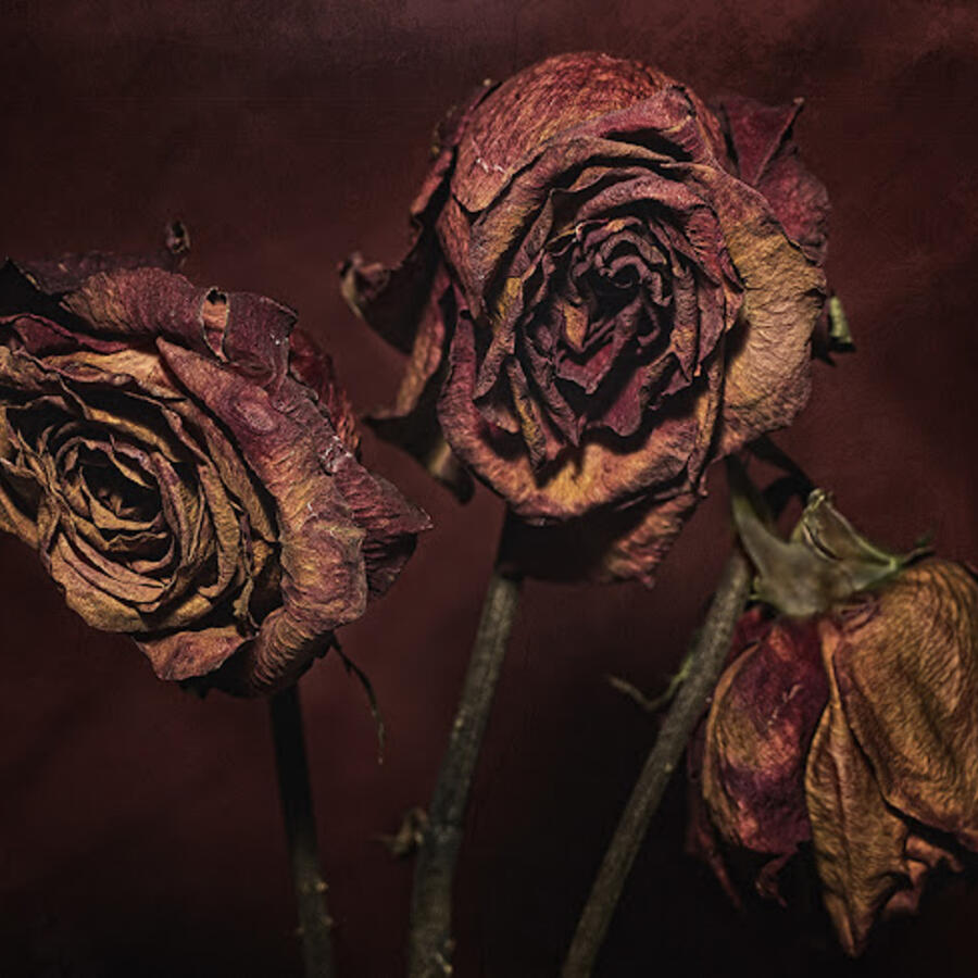 What does that make me? a poem by Lustisntlove26 All Poetry